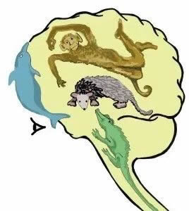 科学家揭开“孩子不爱学习”的秘密 第 3 张