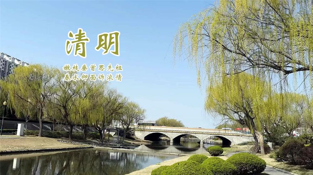 璀璨的莱州民俗文化——清明节 第 4 张