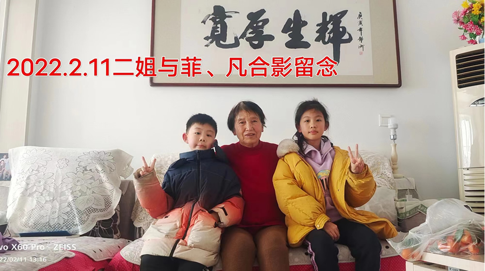 睹物思亲——蒲公英之情 第 4 张