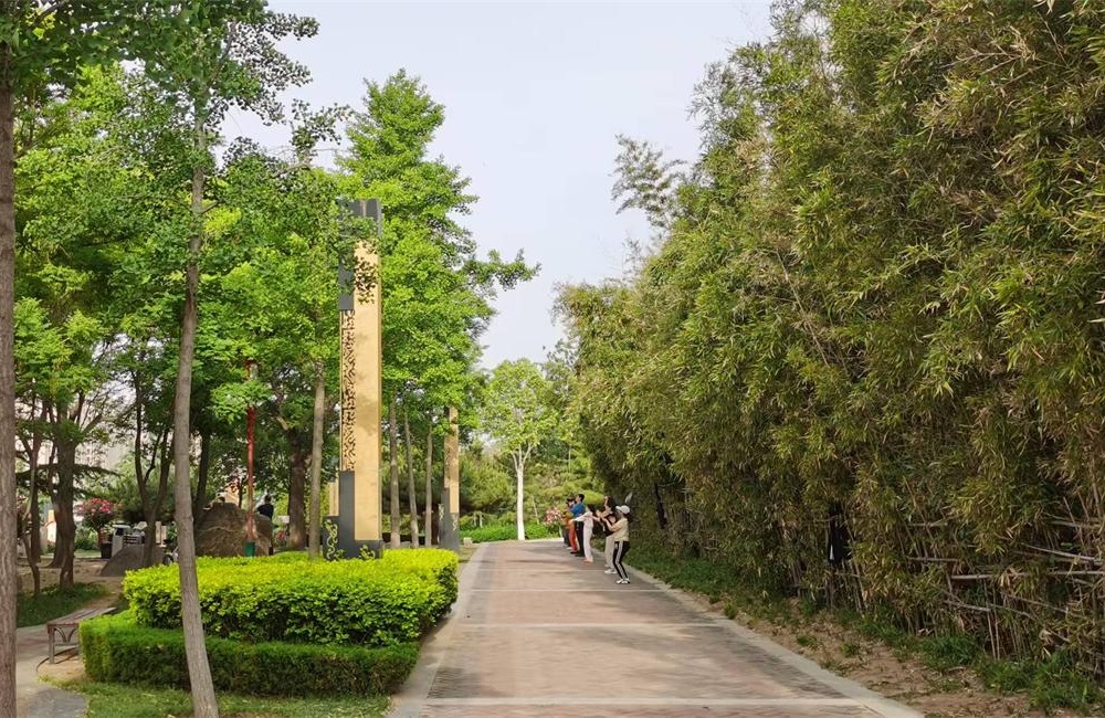 掖县公园——城市绿肺与文化新地标 第 2 张