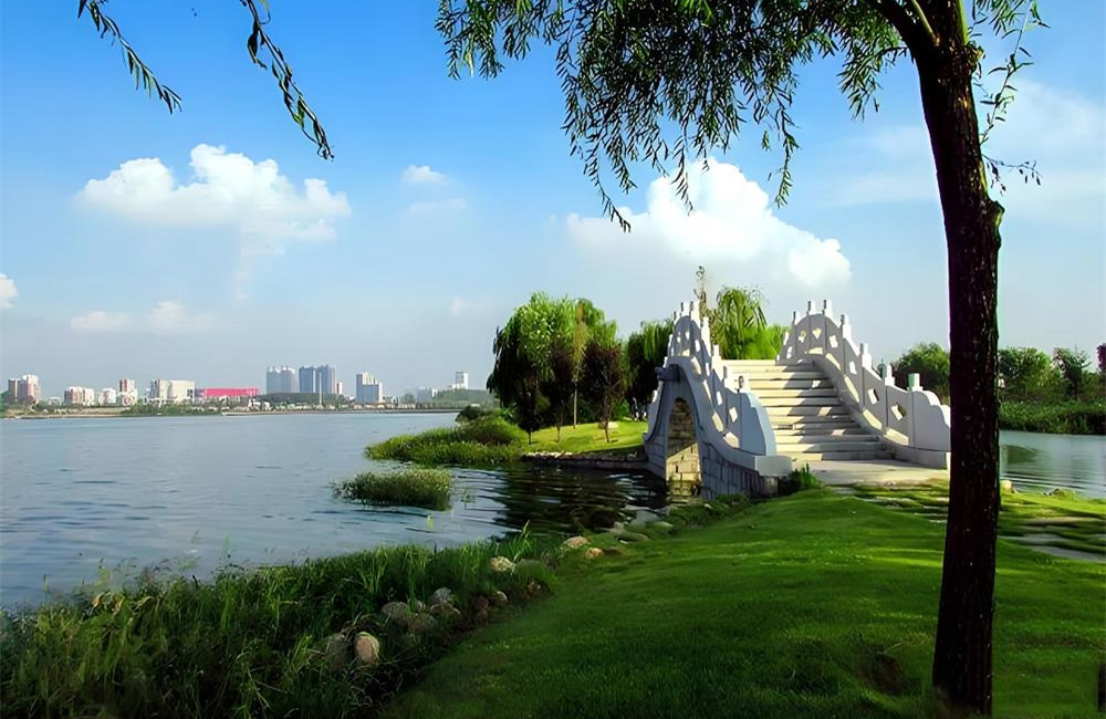 河套湿地公园——生态绿韵，畅享自然 第 7 张