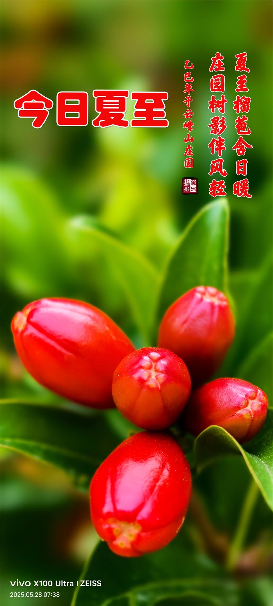 璀璨的莱州民俗文化——夏至 第 1 张