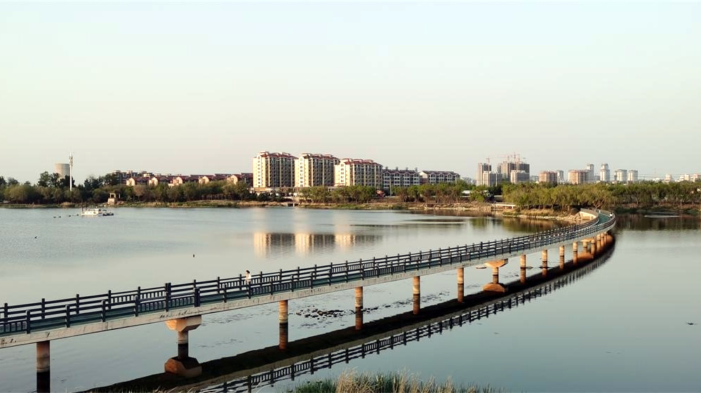 河套湿地公园：城畔湿地藏风雅 第 5 张