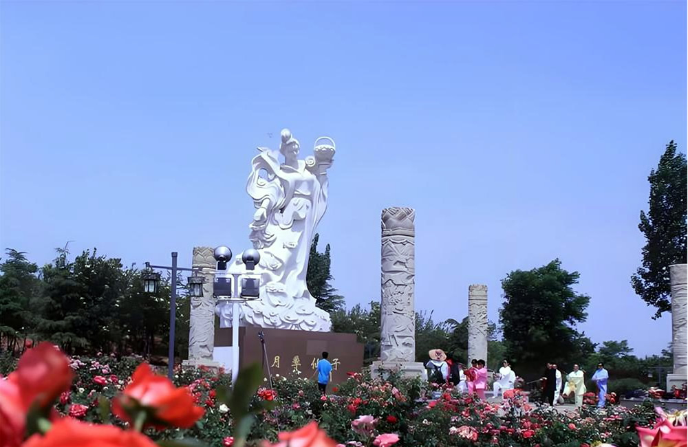 莱州中华月季园 第 1 张