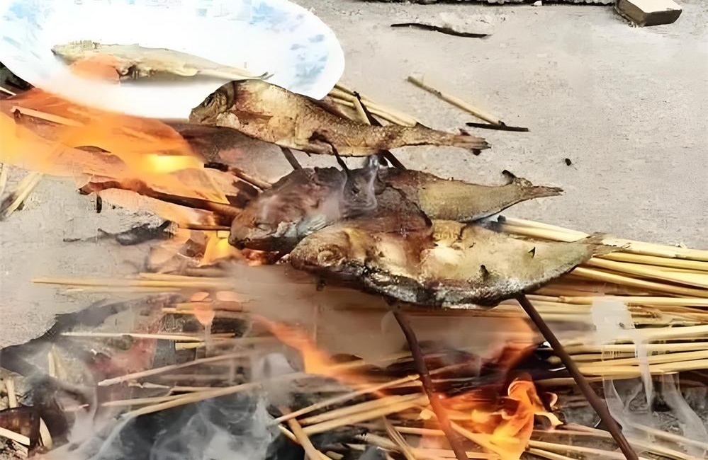莱州青鳞鱼——舌尖上的海湾遗珍 第 4 张