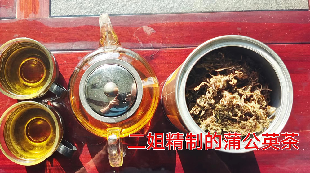 睹物思亲——蒲公英之情 第 1 张