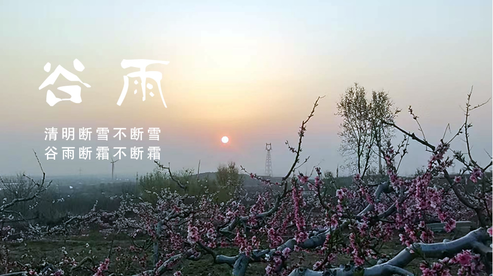 璀璨的莱州民俗文化——谷雨 第 4 张