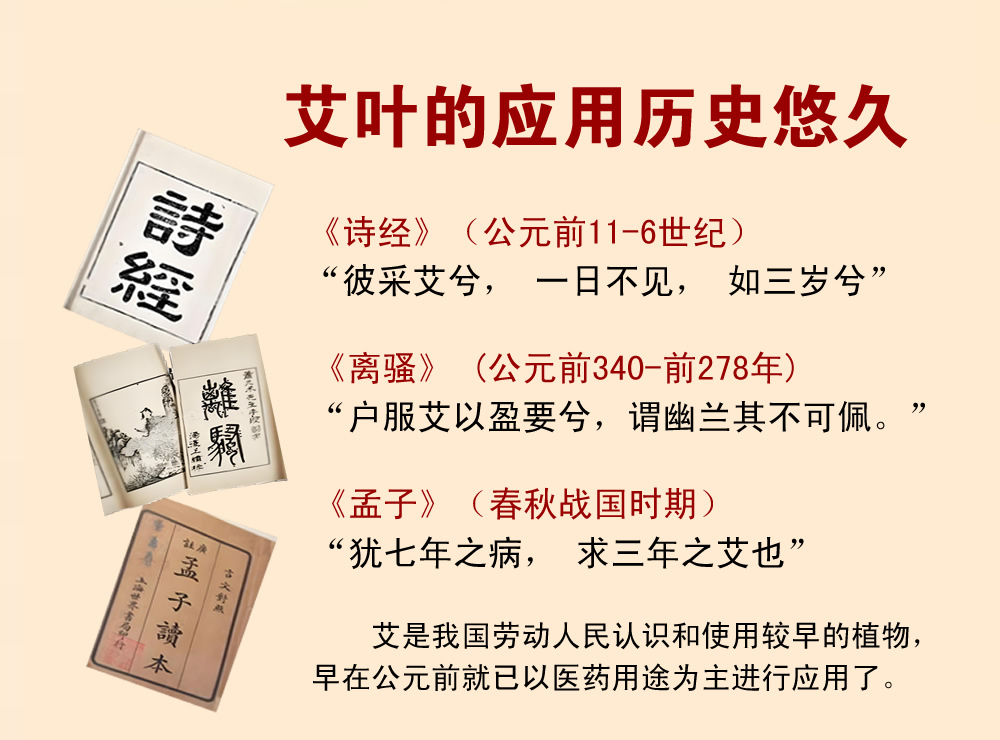 艾灸养生：传统智慧中的健康密码 第 2 张