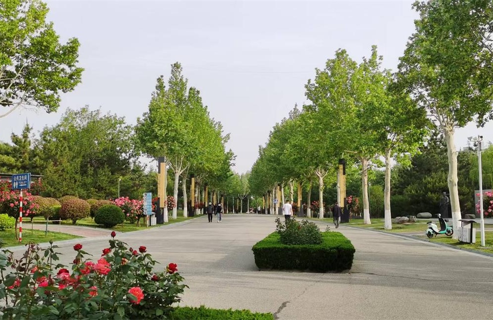 掖县公园——城市绿肺与文化新地标 第 3 张