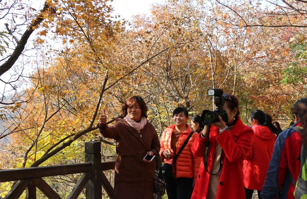 中国书法名山文峰山——文韵与自然的璀璨交汇 第 5 张