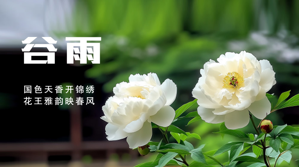 璀璨的莱州民俗文化——谷雨 第 2 张