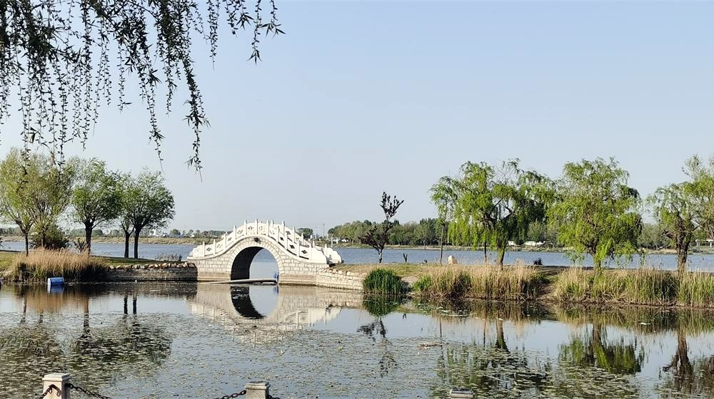 河套湿地公园：城畔湿地藏风雅 第 2 张