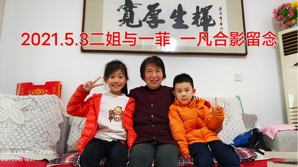 睹物思亲——蒲公英之情 第 3 张