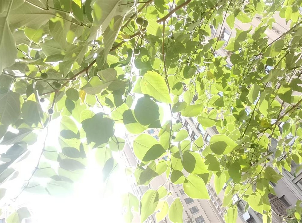 “头秋十天秋”：凉意的乡野序章 第 2 张