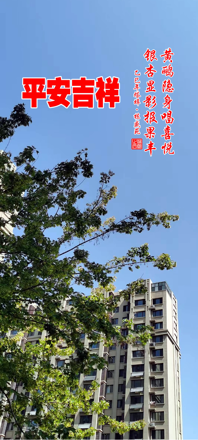 黄鹂隐身唱喜悦，银杏显影报果丰