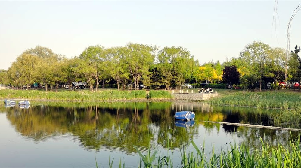 河套湿地公园：城畔湿地藏风雅 第 4 张