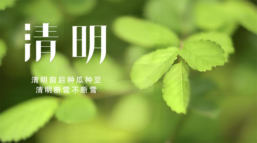 璀璨的莱州民俗文化——清明节 第 2 张