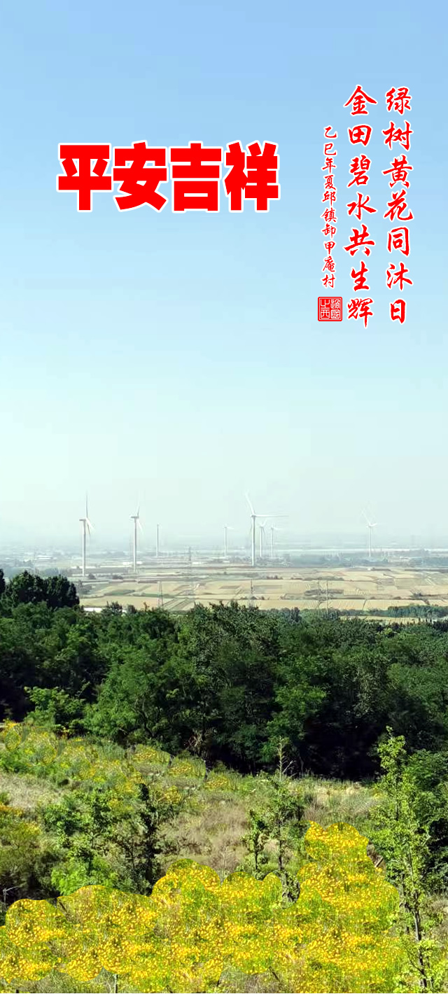 绿树黄花同沐日，金田碧水共生辉