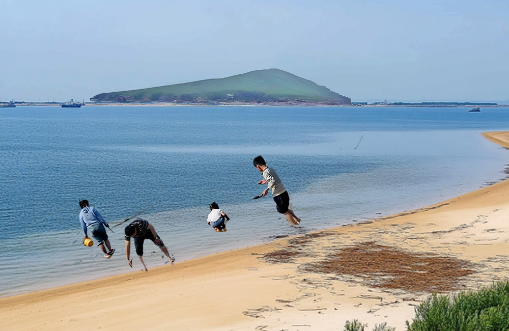 山东省级非遗项目——莱州海草房 第 4 张