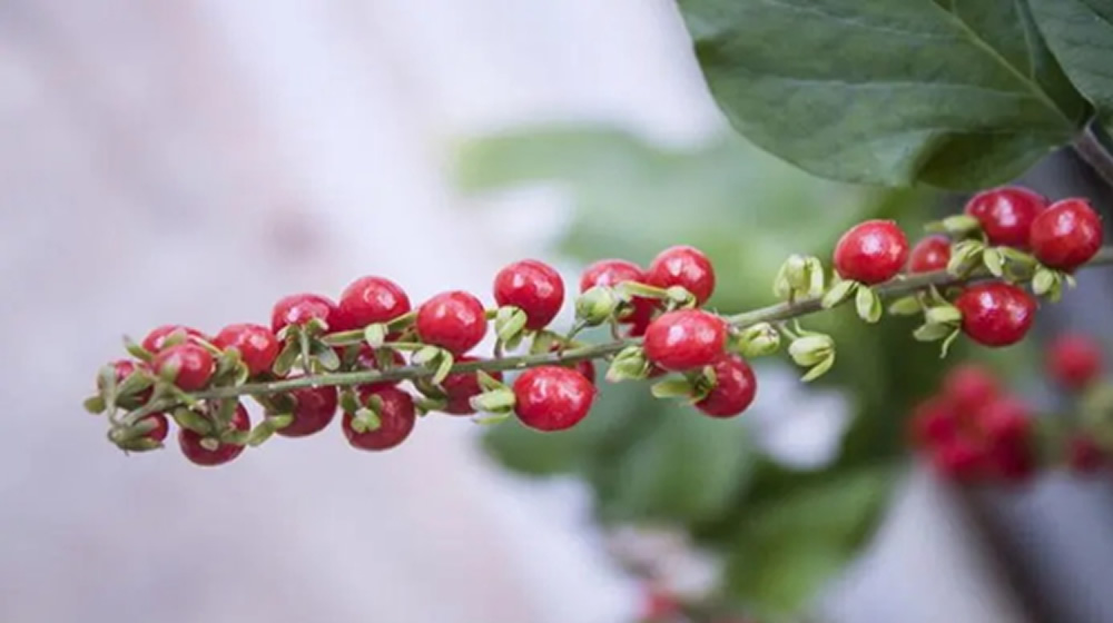 笔耕植 “种”，文心育 “果” 第 3 张