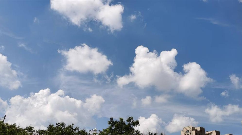 莱州夏韵颂 第 7 张