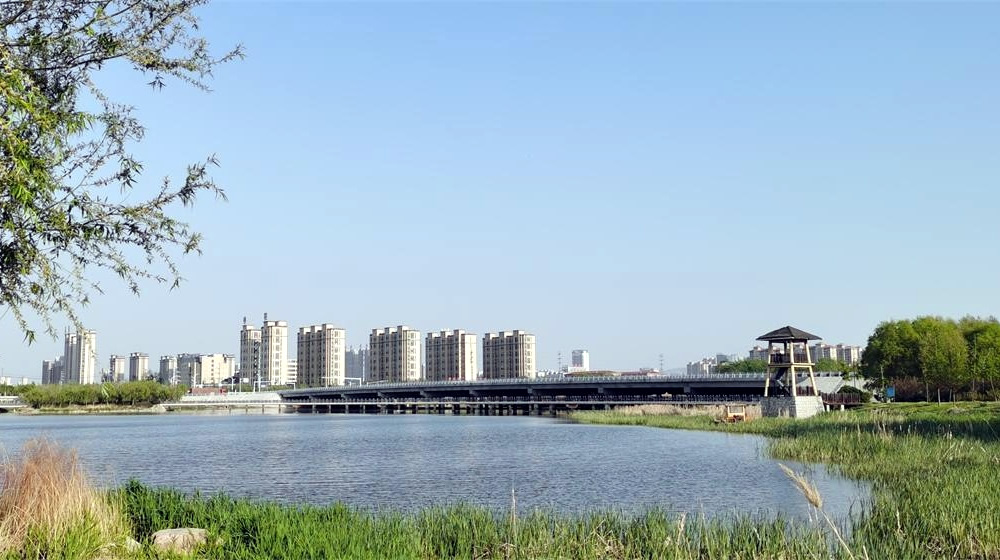 河套湿地公园：城畔湿地藏风雅 第 3 张