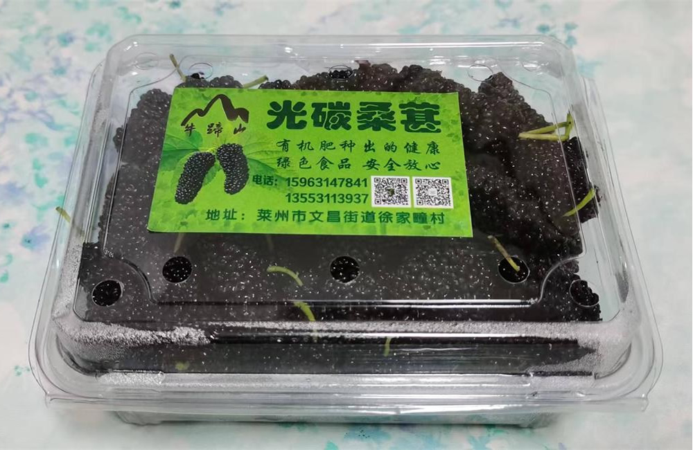 莱州黑桑葚——山野间的健康瑰宝 第 3 张