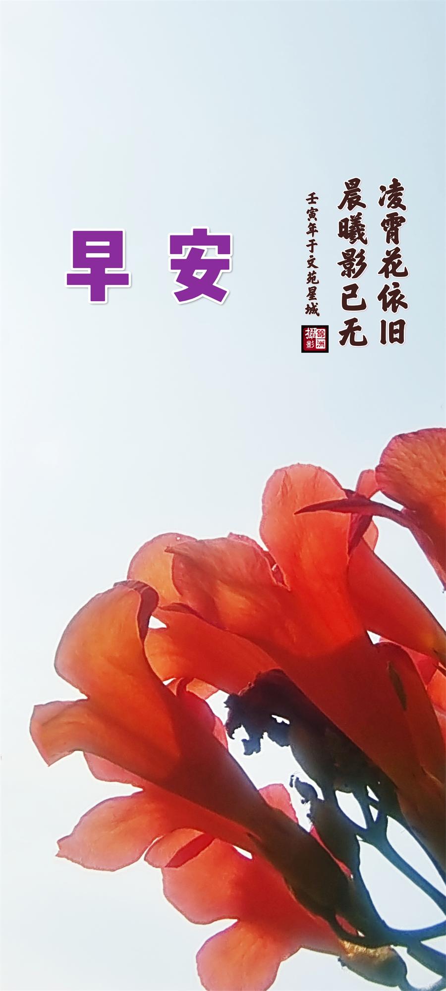 怀念    第 5 张