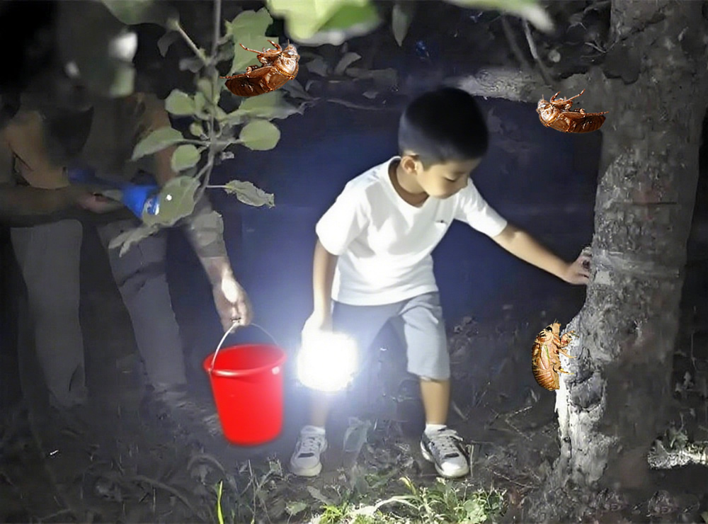 抓“解遛猴儿”：夏夜里的乡土记忆 第 3 张