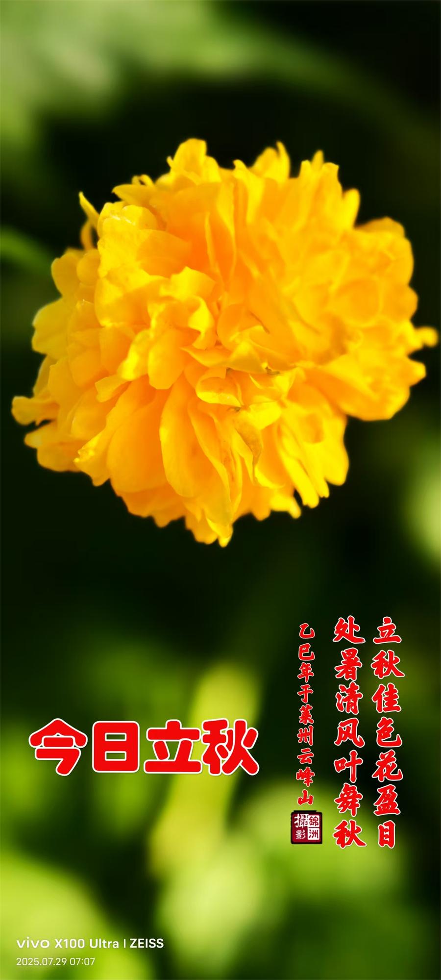 璀璨的莱州民俗文化——立秋 第 1 张