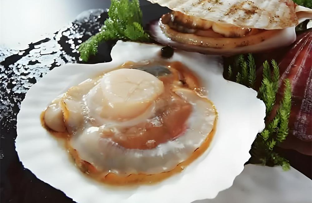 莱州扇贝——莱州湾畔的海中珍品 第 1 张