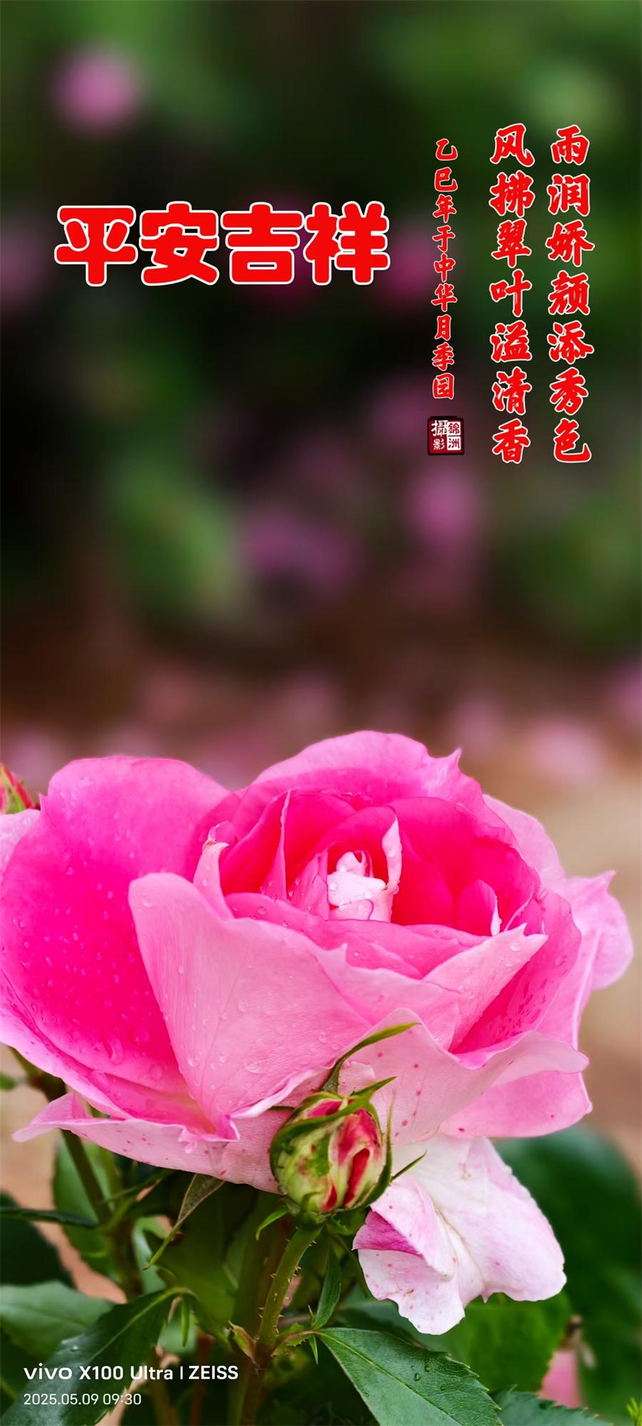 璀璨的莱州民俗文化——端午节 第 1 张
