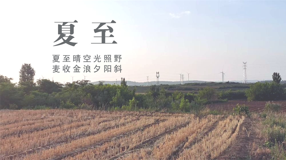璀璨的莱州民俗文化——夏至 第 2 张