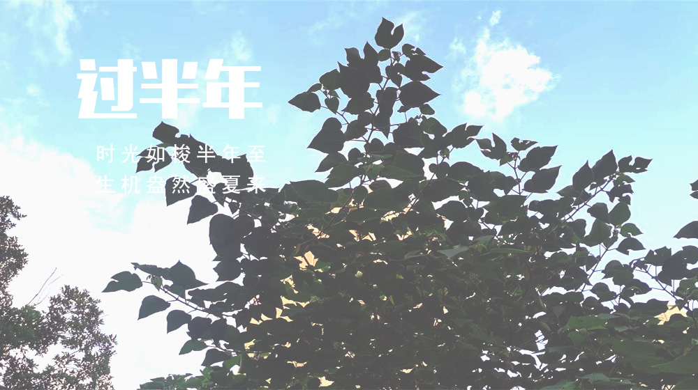 璀璨的莱州民俗文化——过半年 第 4 张