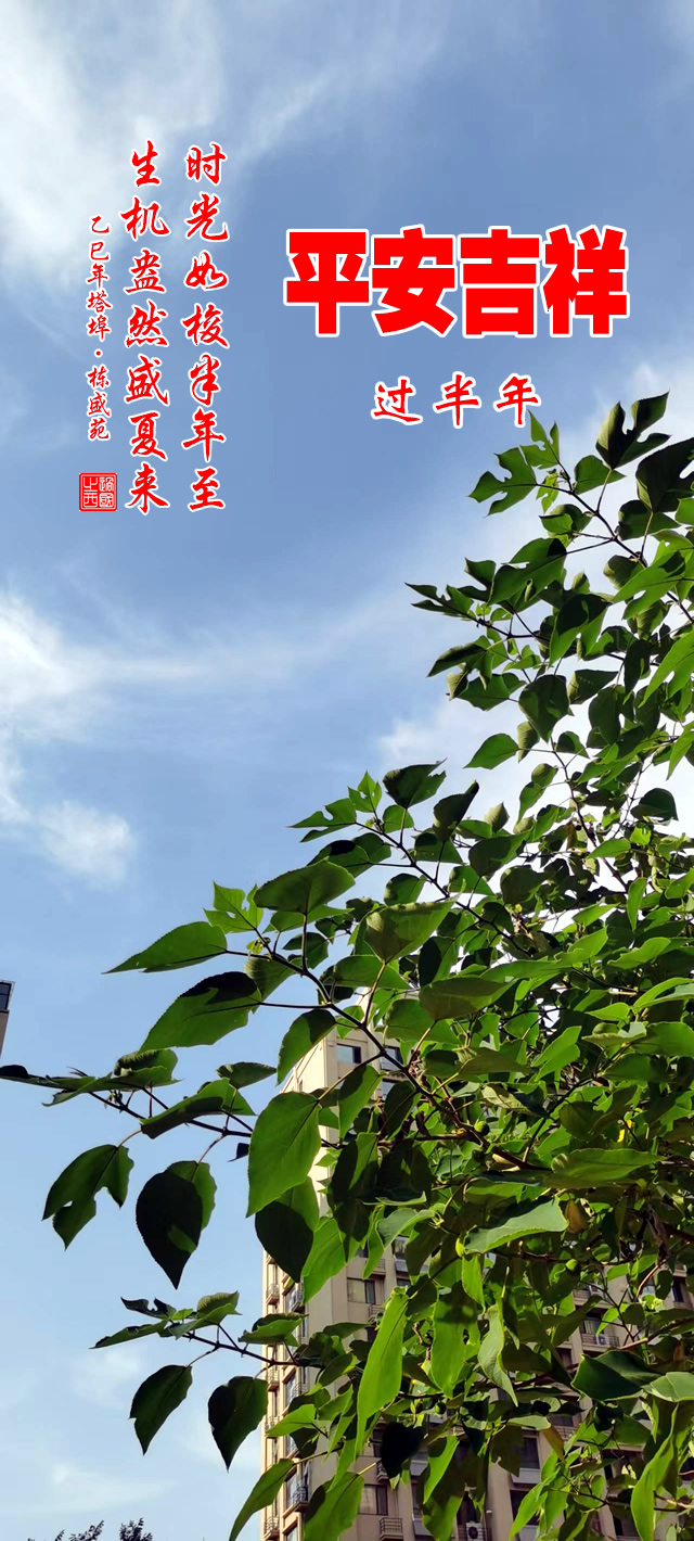 时光如梭半年至，生机盎然盛夏来