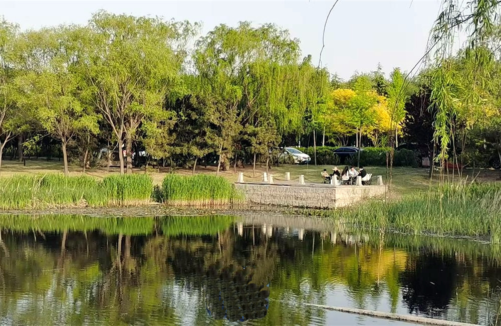 河套湿地公园——生态绿韵，畅享自然 第 5 张