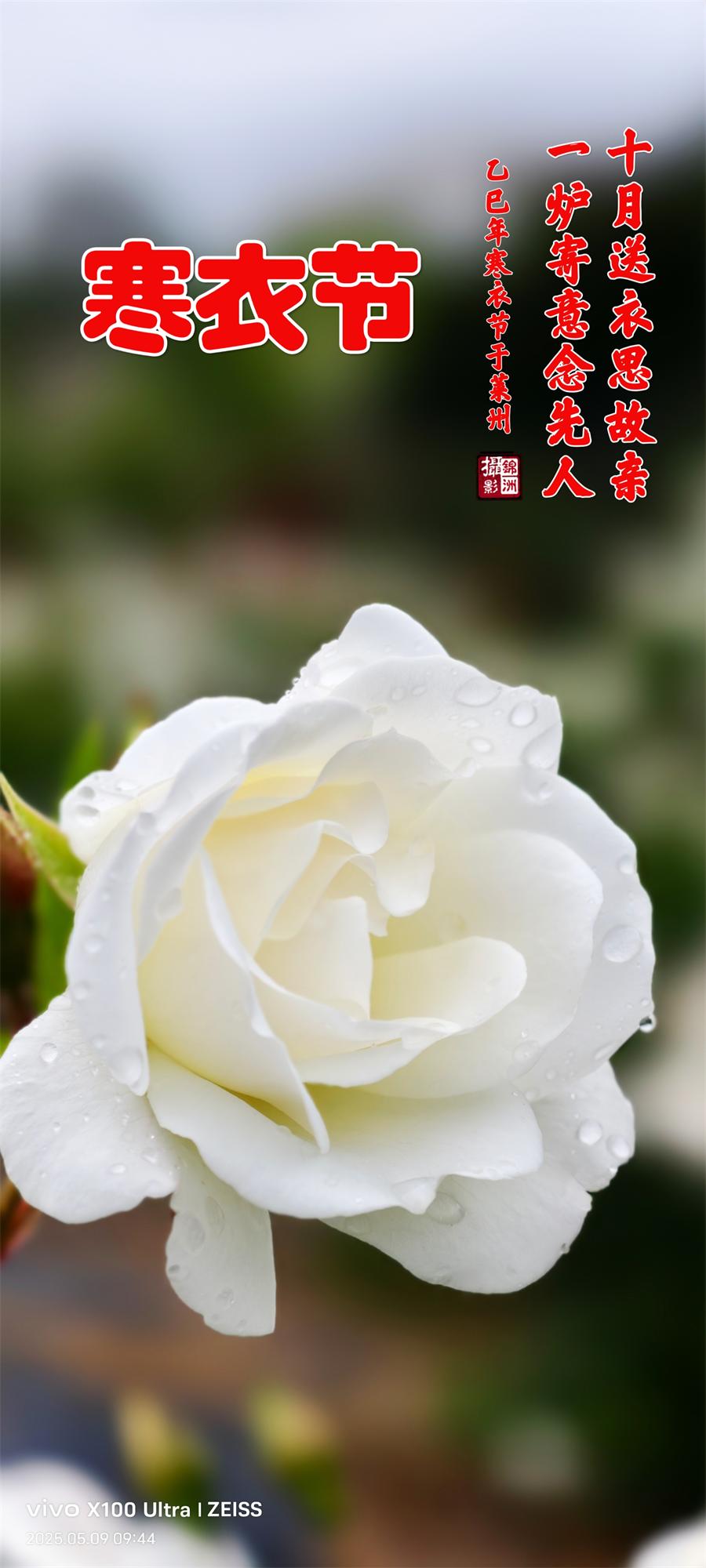 璀璨的莱州民俗文化——寒衣节 第 1 张