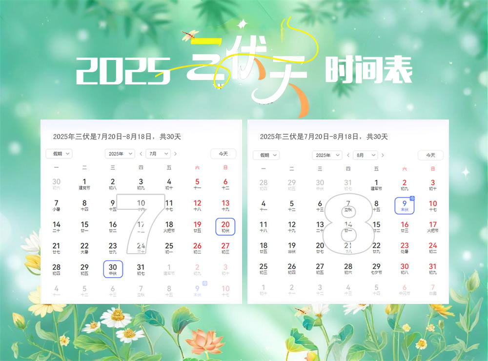伏天耕种记：莱州 “中伏萝卜末伏菜” 里的时令智慧 第 2 张