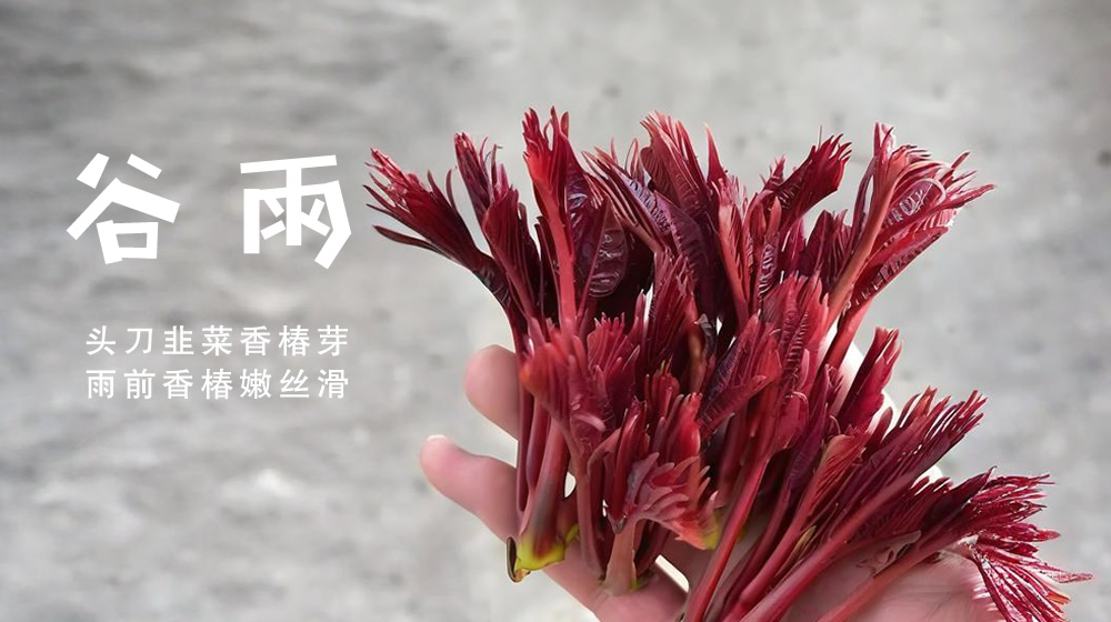 璀璨的莱州民俗文化——谷雨 第 3 张