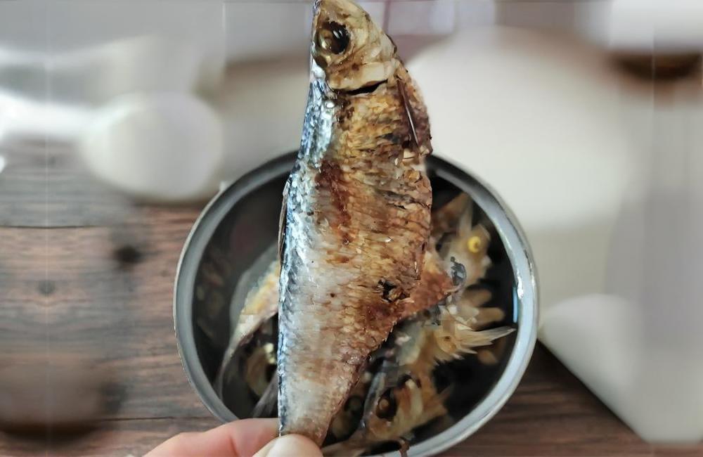 莱州青鳞鱼——舌尖上的海湾遗珍 第 5 张