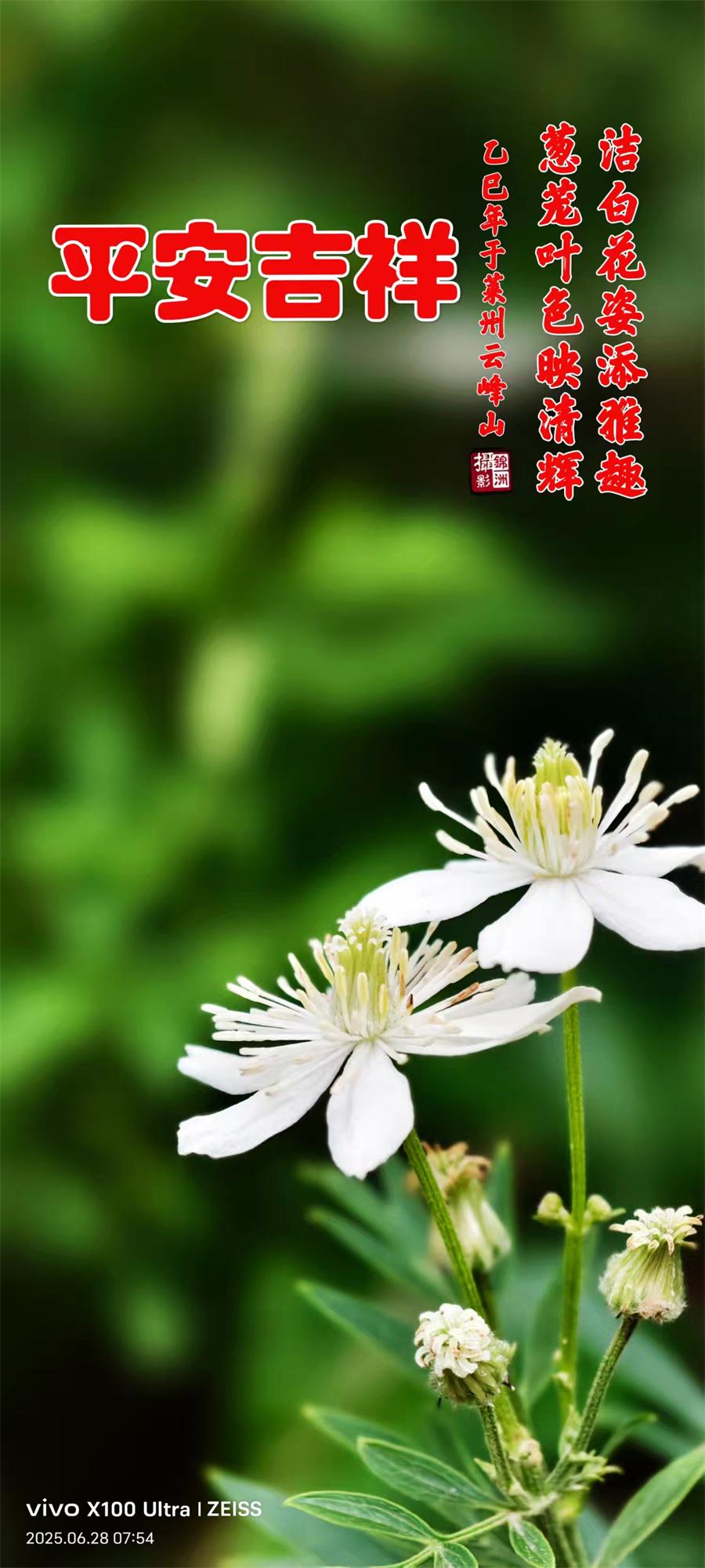 李锦洲摄影作品选：山野小花分外艳 第 3 张
