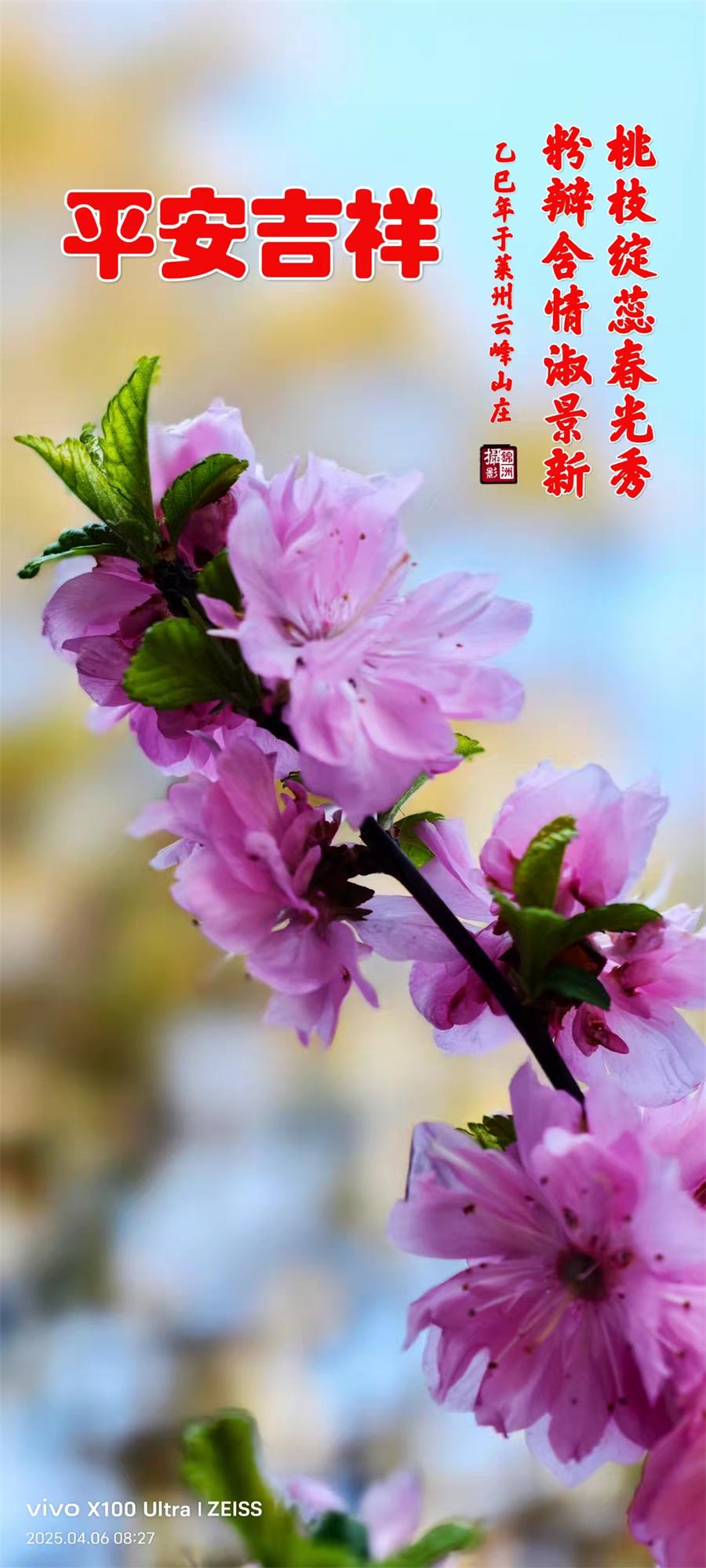李锦洲摄影作品选：山野小花分外艳 第 9 张