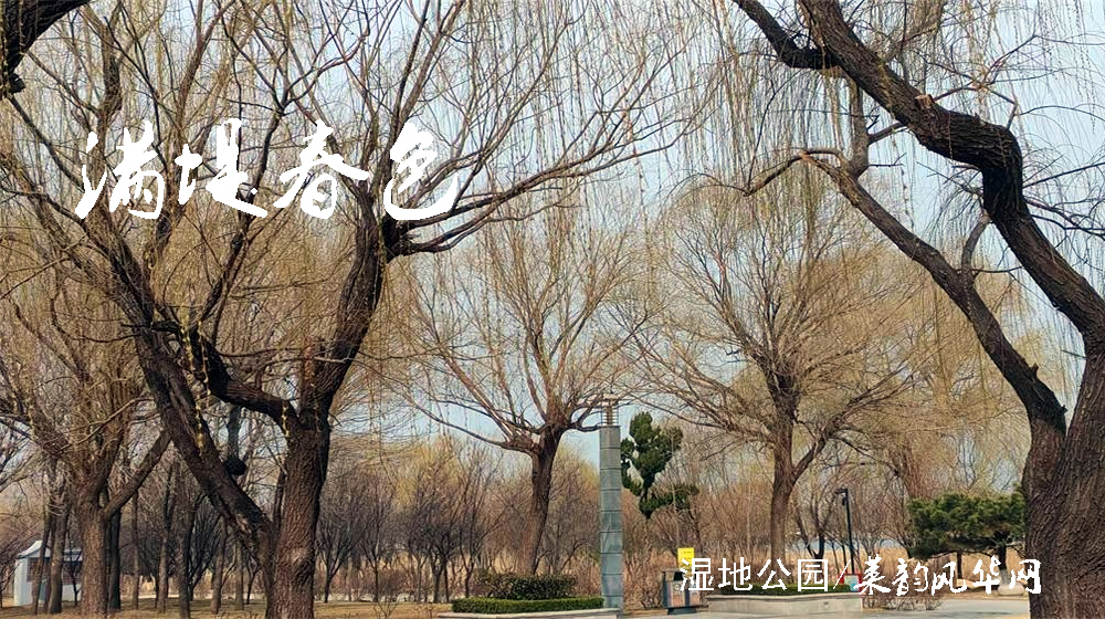 ​绝句二首•春柳 第 1 张