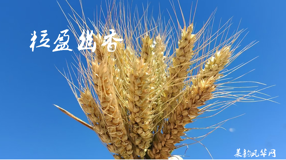 诗词七首•田园莱韵 第 3 张