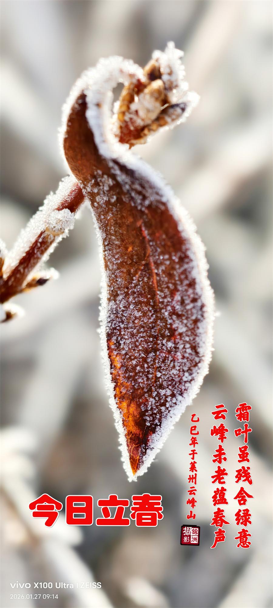 璀璨的莱州民俗文化——立春 第 1 张