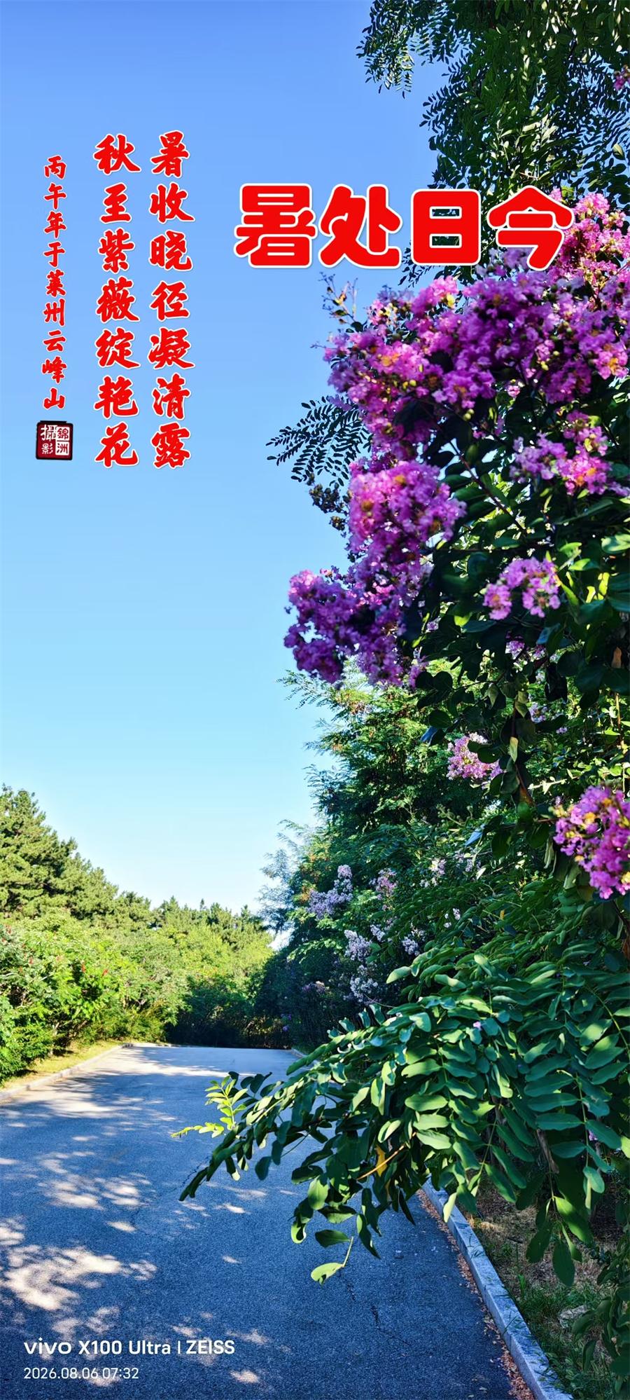 璀璨的莱州民俗文化——处暑 第 1 张