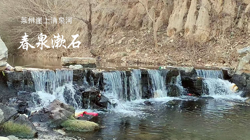 咏春词四首 第 4 张