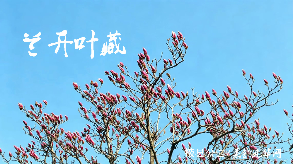 绝句四首•阳春花韵 第 1 张