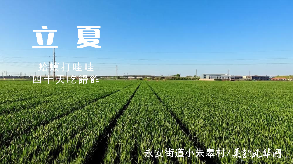璀璨的莱州民俗文化——立夏 第 3 张