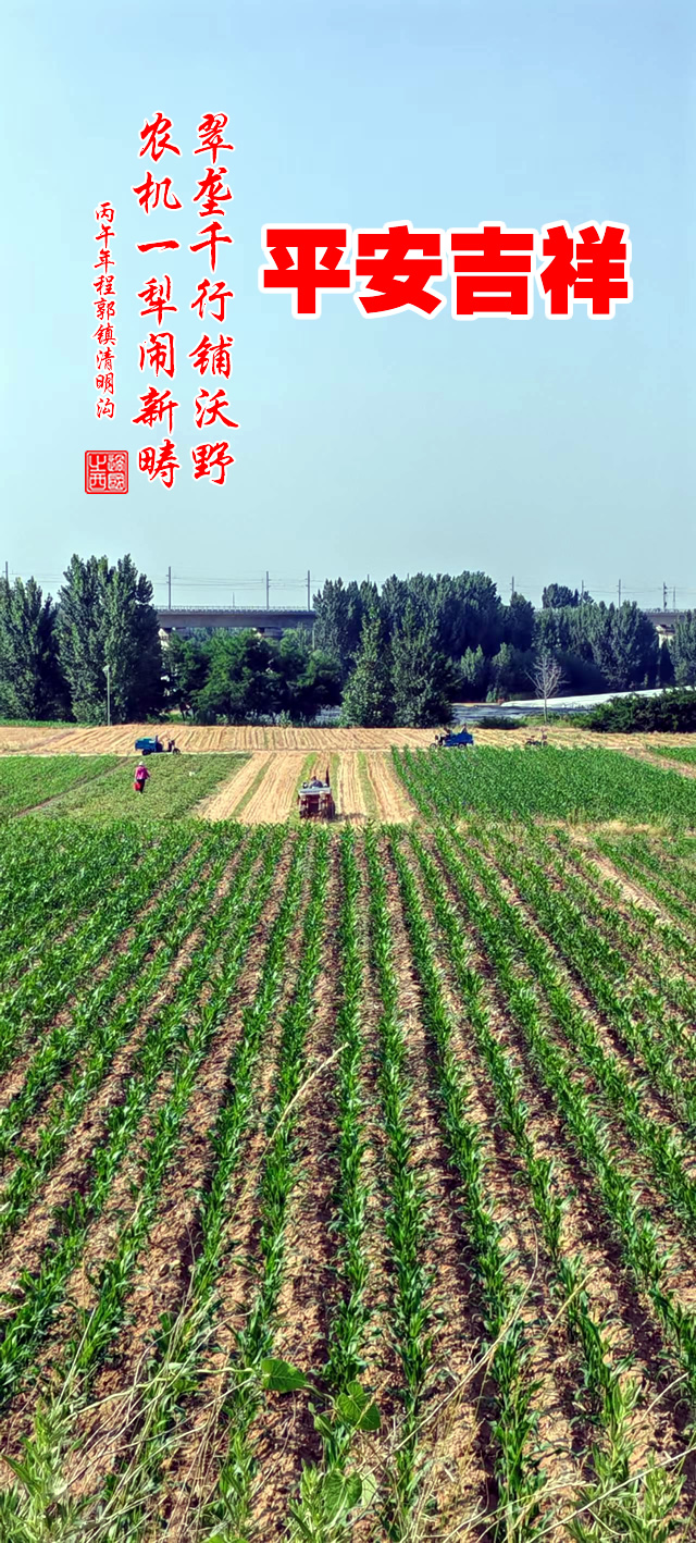 过国之西摄影作品选：美丽的田野 第 5 张